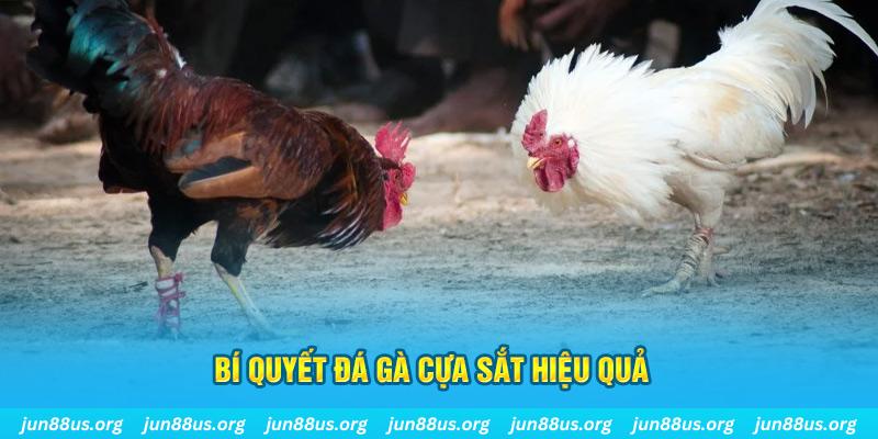 b52 club nổ hũ may mắn