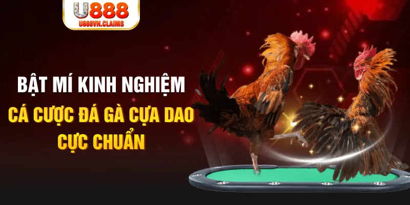 b52 club casino hồ tràm có cho người việt vào không