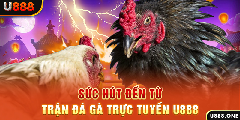 b52 club đăng nhập poker 2024