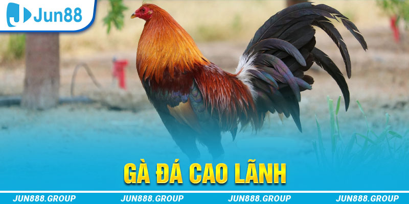 b52 club tai game vua bai ve may tinh
