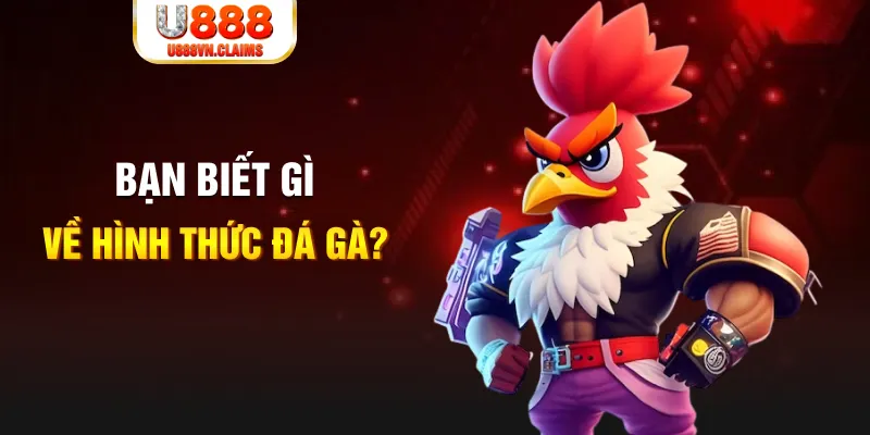b52 club đăng nhập liêng tặng tiền