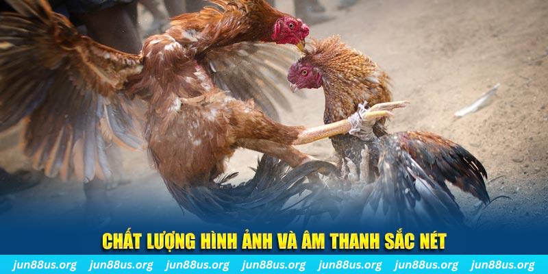 b52 club gà chọi tiêu phong