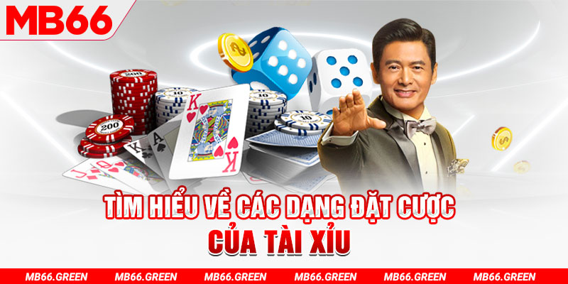 b52 club what is a casino loyalty program