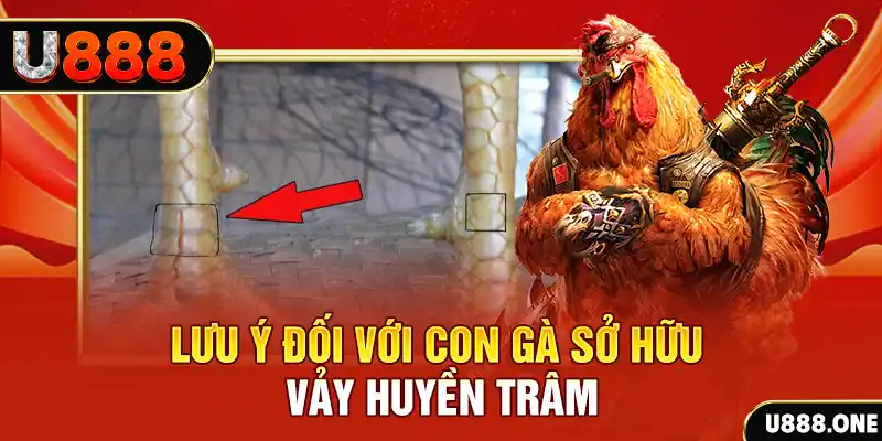 b52 club tải game đánh bài tiến lên miền nam về máy tính