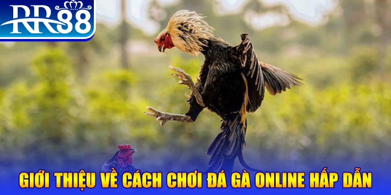 b52 club EvoPlay Điện Tử