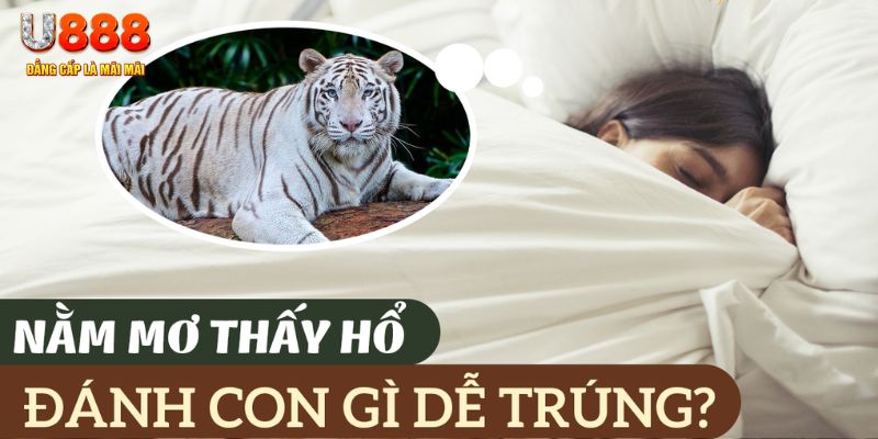 b52 club nohu .mx nổ hủ là gì