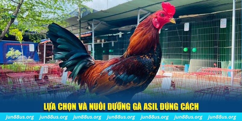 b52 club nổ hũ thần tài là gì