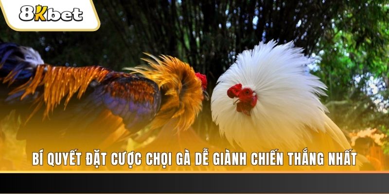 b52 club nổ hũ chơi như thế nào
