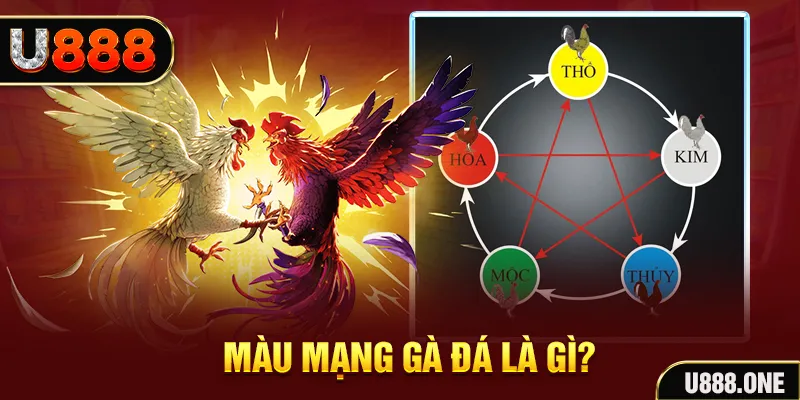 b52 club V8 Game Bài 3d