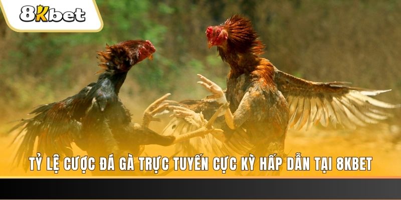 b52 club xổ số miền bắc chủ nhật