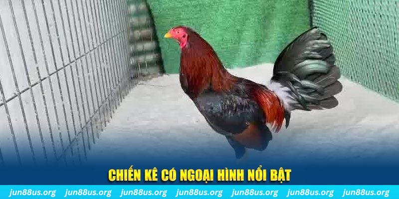 b52 club qq88 bắn cá