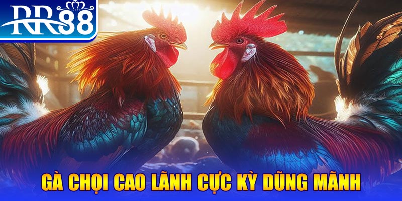 b52 club đăng nhập poker live